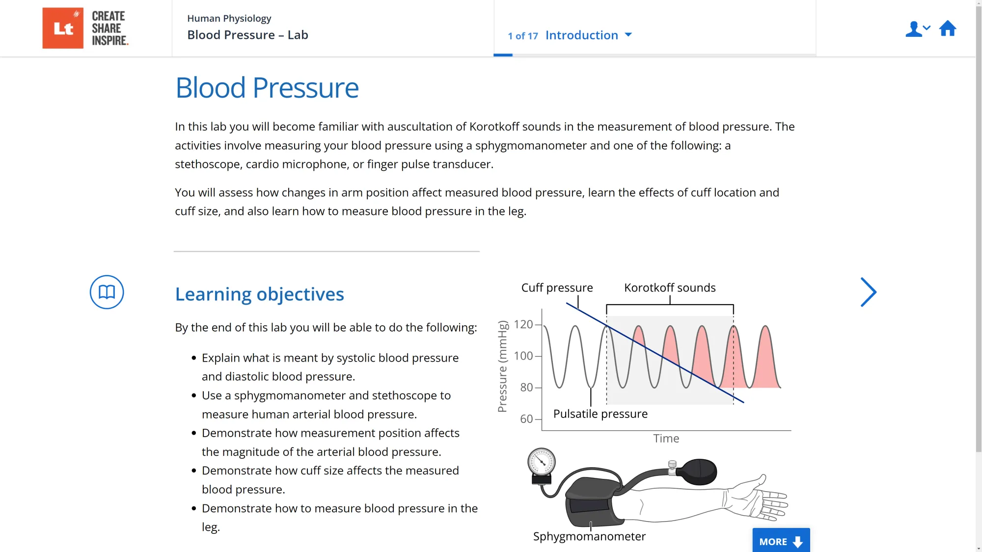 A screenshot of the Blood Pressure Lab in Lt showing an arm with a blood pressure cuff and sphygmomanometer attached. A chart shows blood pressure changing over time.