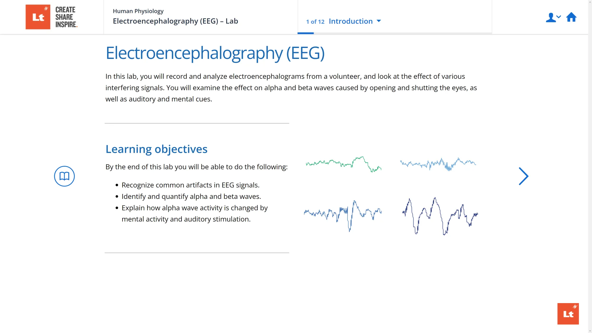 A screenshot of the Electroencephalography (EEG) Lab in Lt showing a diagram of different EEG waveforms.