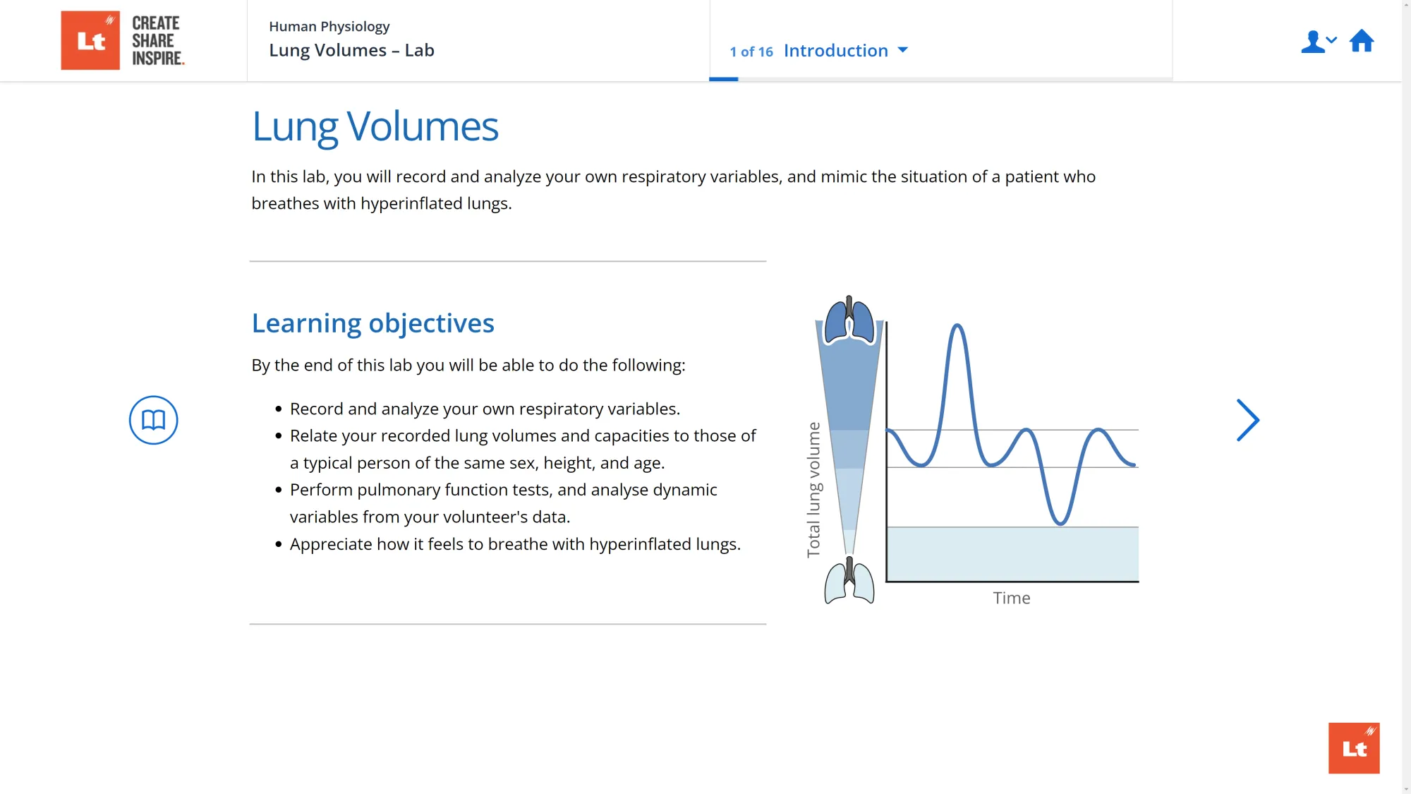 A screenshot of the Lung Volumes Lab in Lt showing a diagram of lung volume over time.