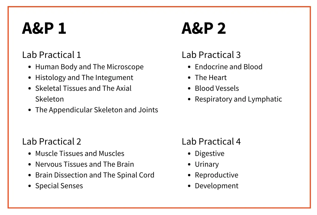 Practical Exams Content Breakdown